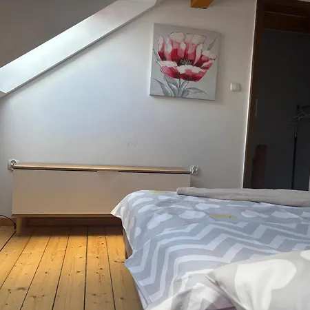 Centrum Lejlighed *